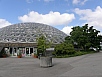 P7040209.jpg