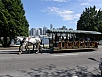 P7050294.jpg