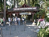 P7050369.jpg