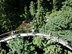 P7050375.jpg