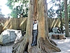 P7050400.jpg