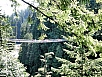 P7050405.jpg