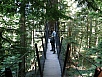 P7050423.jpg