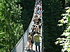 P7060435.jpg