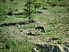 P7060467.jpg