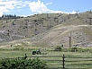 P7070738.jpg