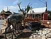 P7080786.jpg