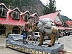 P7080803.jpg
