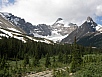 P7101206.jpg