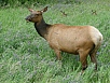 P7111353.jpg