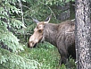 P7111444.jpg