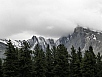 P7111449.jpg