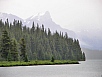 P7111464.jpg