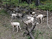 P7111482.jpg