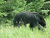 P7121533.jpg