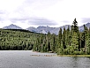 P7121566.jpg