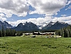 P7121673.jpg