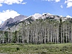 P7121697.jpg