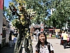 P7140052.jpg