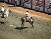 P7140080.jpg