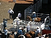 P7140124.jpg