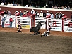 P7140173.jpg