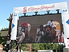 P7140234.jpg
