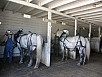 P7140347.jpg