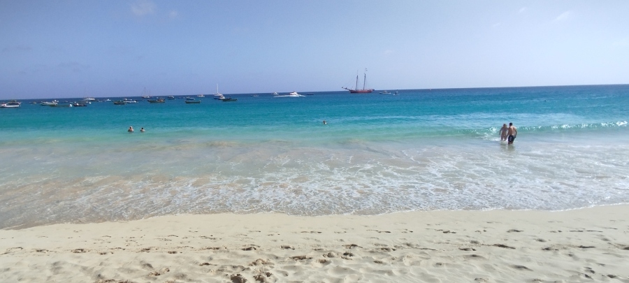 IMG_20250126_152043.jpg