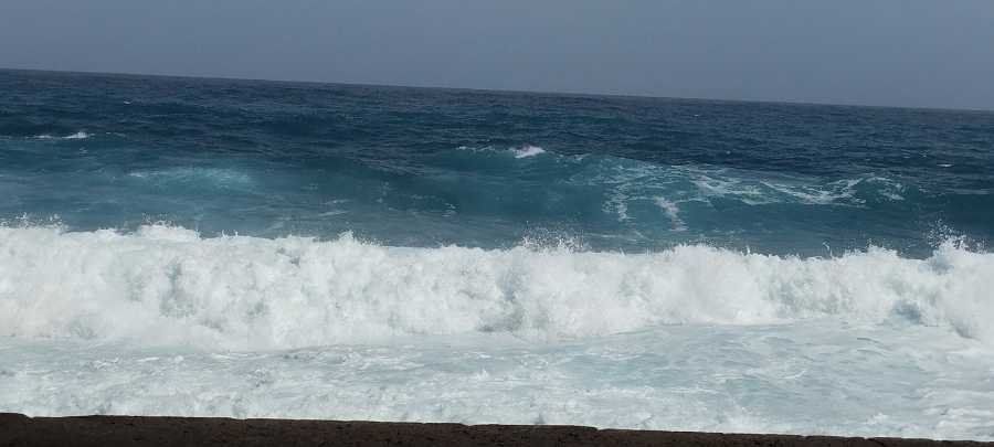 IMG_20250128_121341.jpg