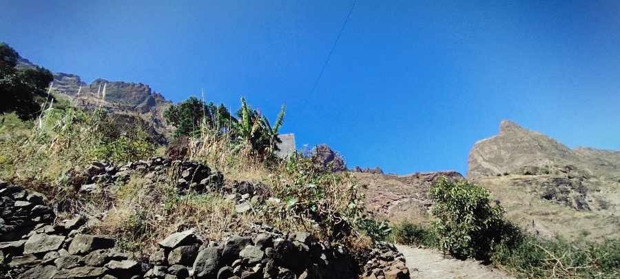 IMG_20250128_125613.jpg