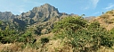 IMG_20250125_091545.jpg