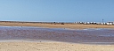 IMG_20250126_125001.jpg