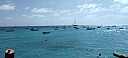 IMG_20250126_140555.jpg