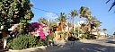 IMG_20250126_170814.jpg