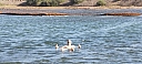 IMG_20250127_092223.jpg
