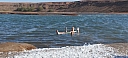 IMG_20250127_092429.jpg