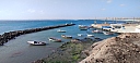 IMG_20250127_095118.jpg
