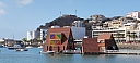 IMG_20250127_151251.jpg