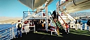 IMG_20250128_075253.jpg