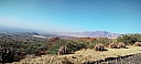 IMG_20250128_091002.jpg