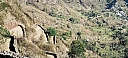 IMG_20250128_101723.jpg