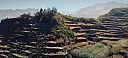 IMG_20250128_112108.jpg