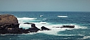 IMG_20250128_120238.jpg