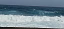 IMG_20250128_121341.jpg