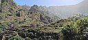 IMG_20250128_123822.jpg