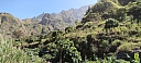 IMG_20250128_123937.jpg