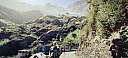 IMG_20250128_125054.jpg