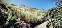 IMG_20250128_125525.jpg