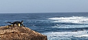 IMG_20250129_082457.jpg